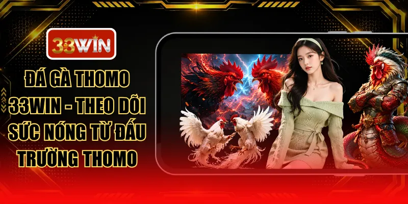 Đá Gà Thomo 33WIN - Theo Dõi Sức Nóng Từ Đấu Trường Thomo