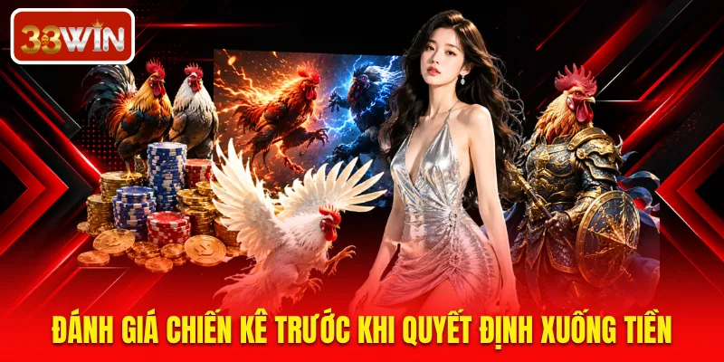 Đánh giá chiến kê trước khi quyết định xuống tiền